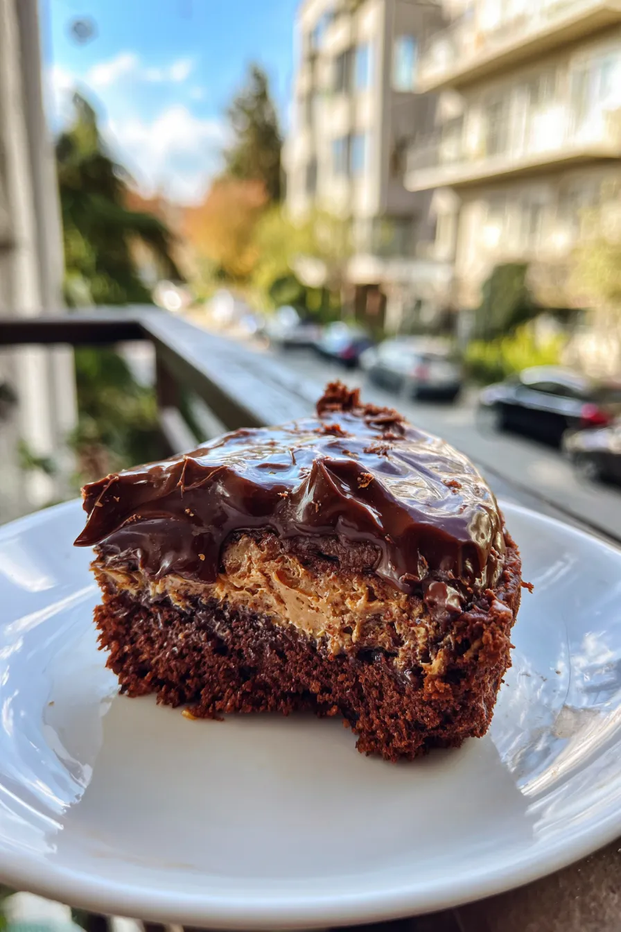 chocolate peanut butter cake
