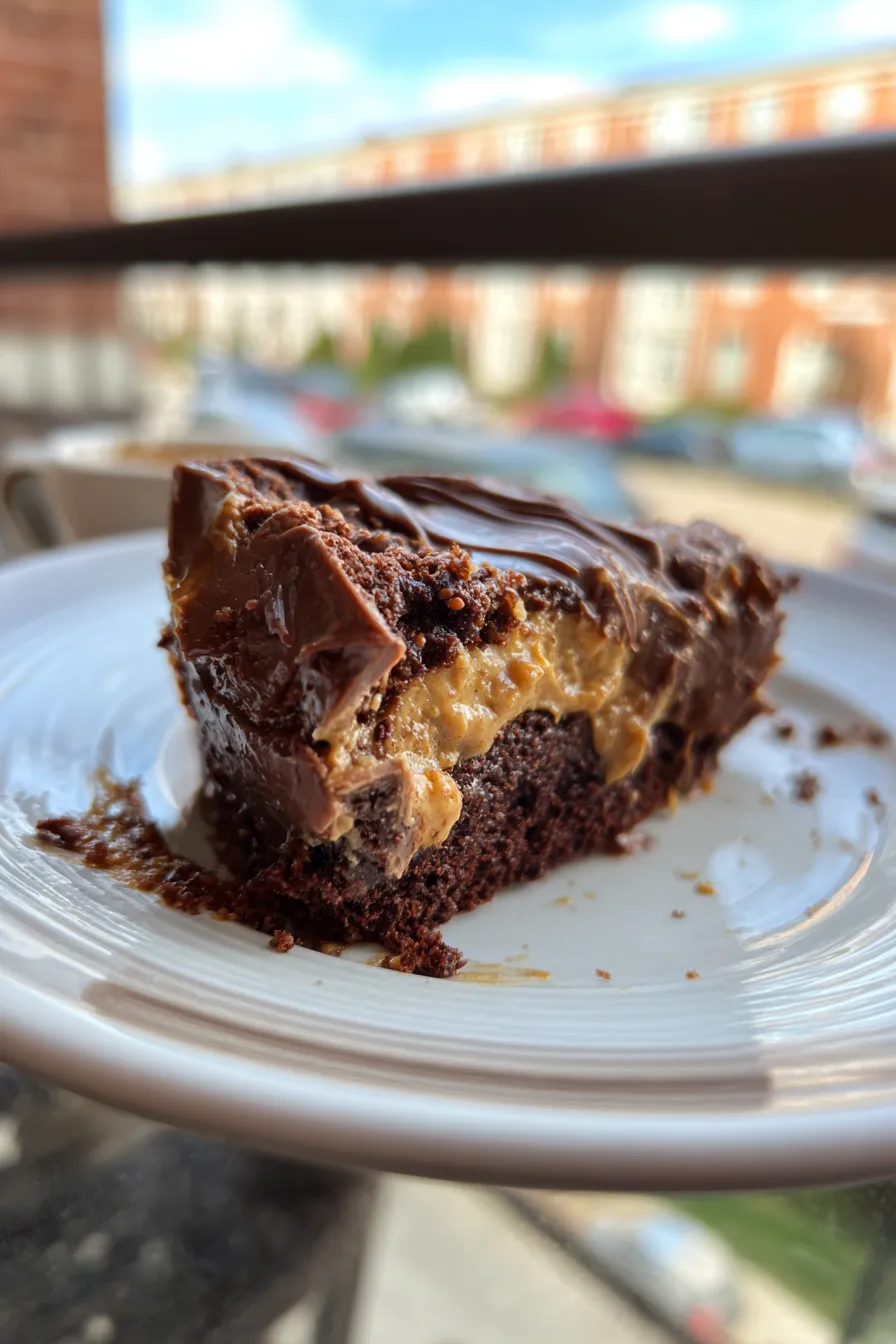 chocolate peanut butter cake