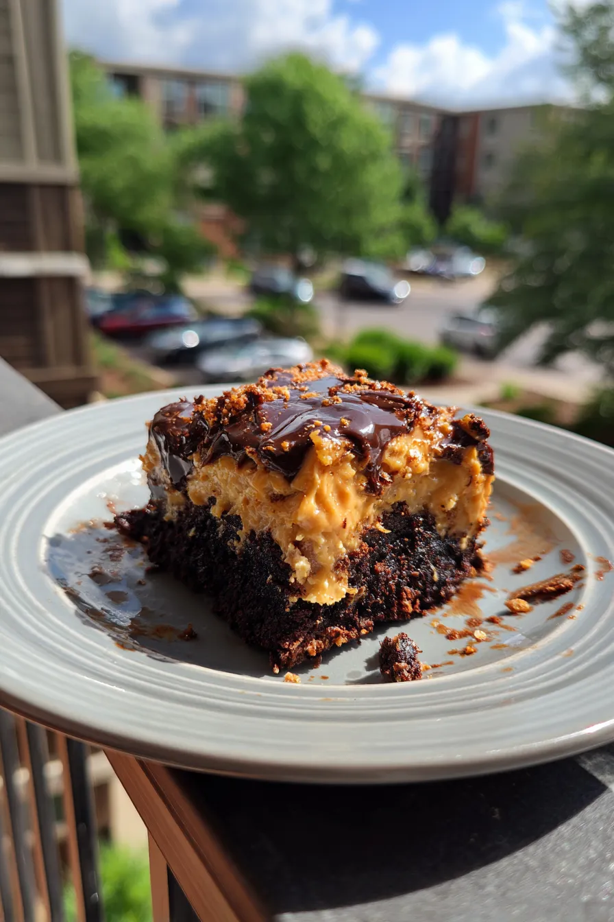 Chocolate Peanut Butter Poke Cake Recipe Easy and Delicious