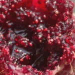 raspberry jam no pectin