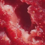 strawberry rhubarb sauce