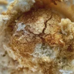 fried ice cream recipe
