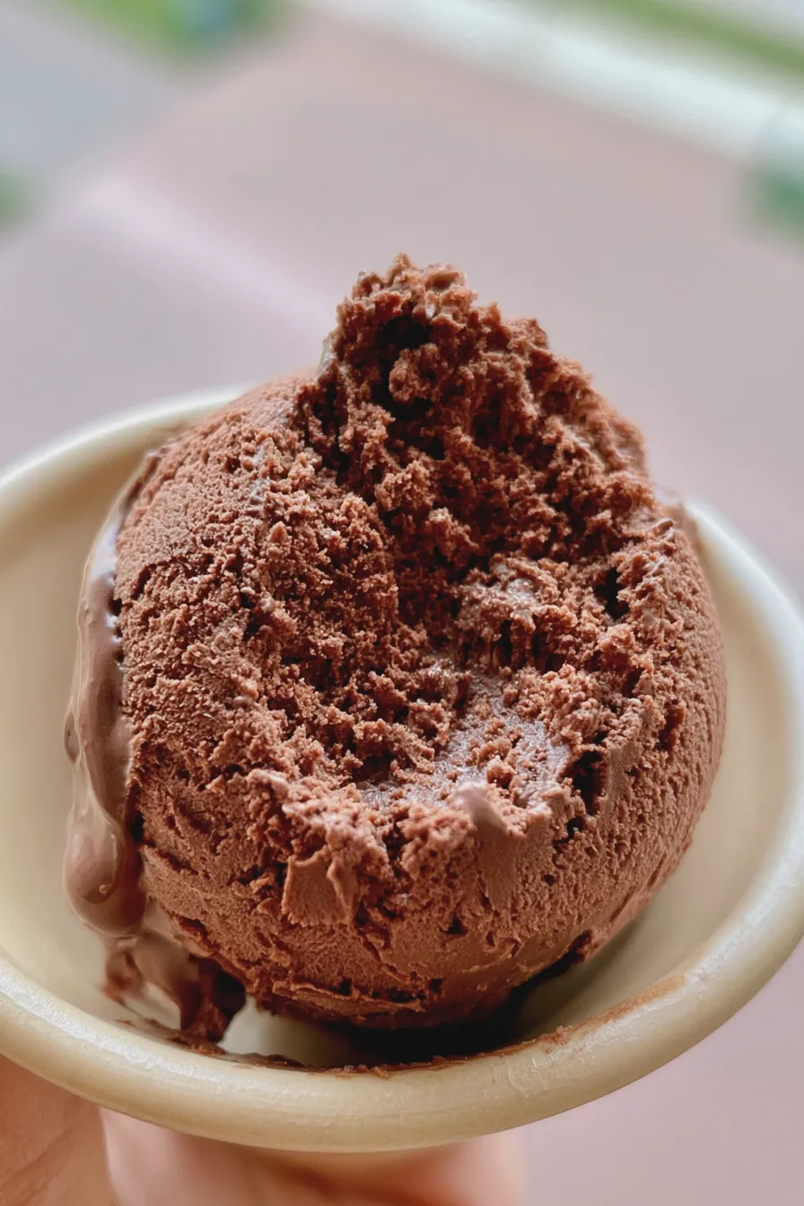homemade chocolate ice cream
