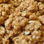 apple oatmeal cookies Recipe 6 apple oatmeal cookies